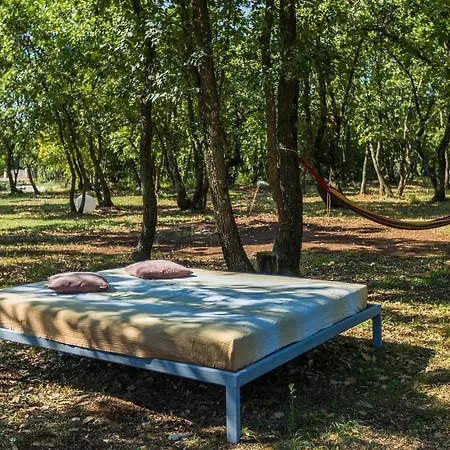 Martinetinka * Пула