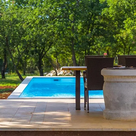 Martinetinka بولا